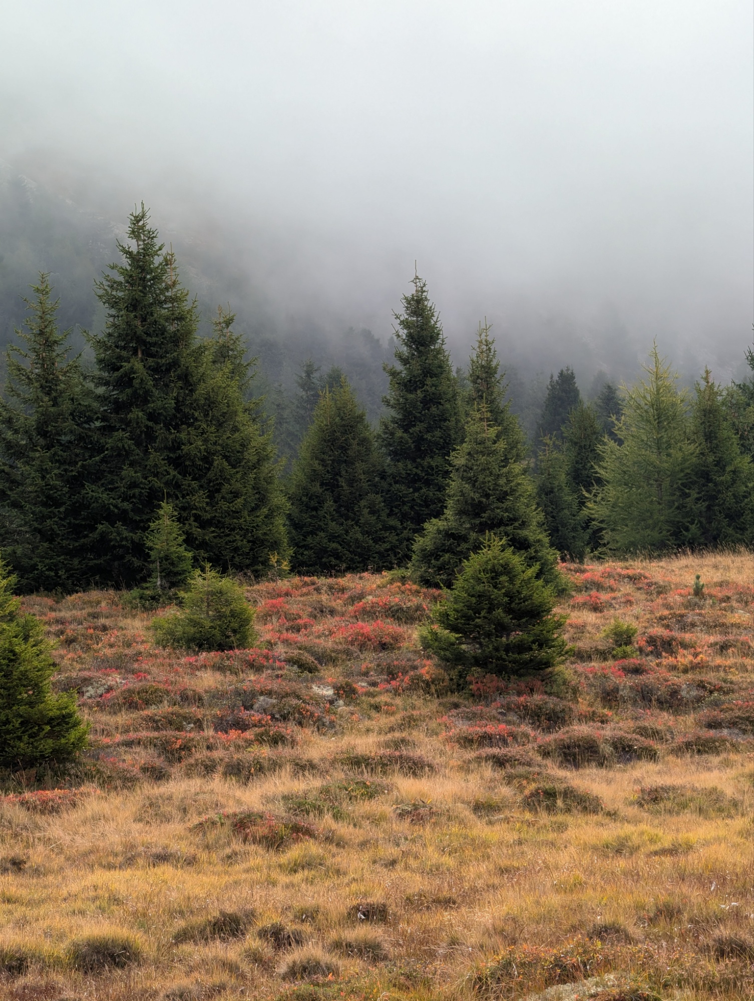 Unbenannter Beitrag 26