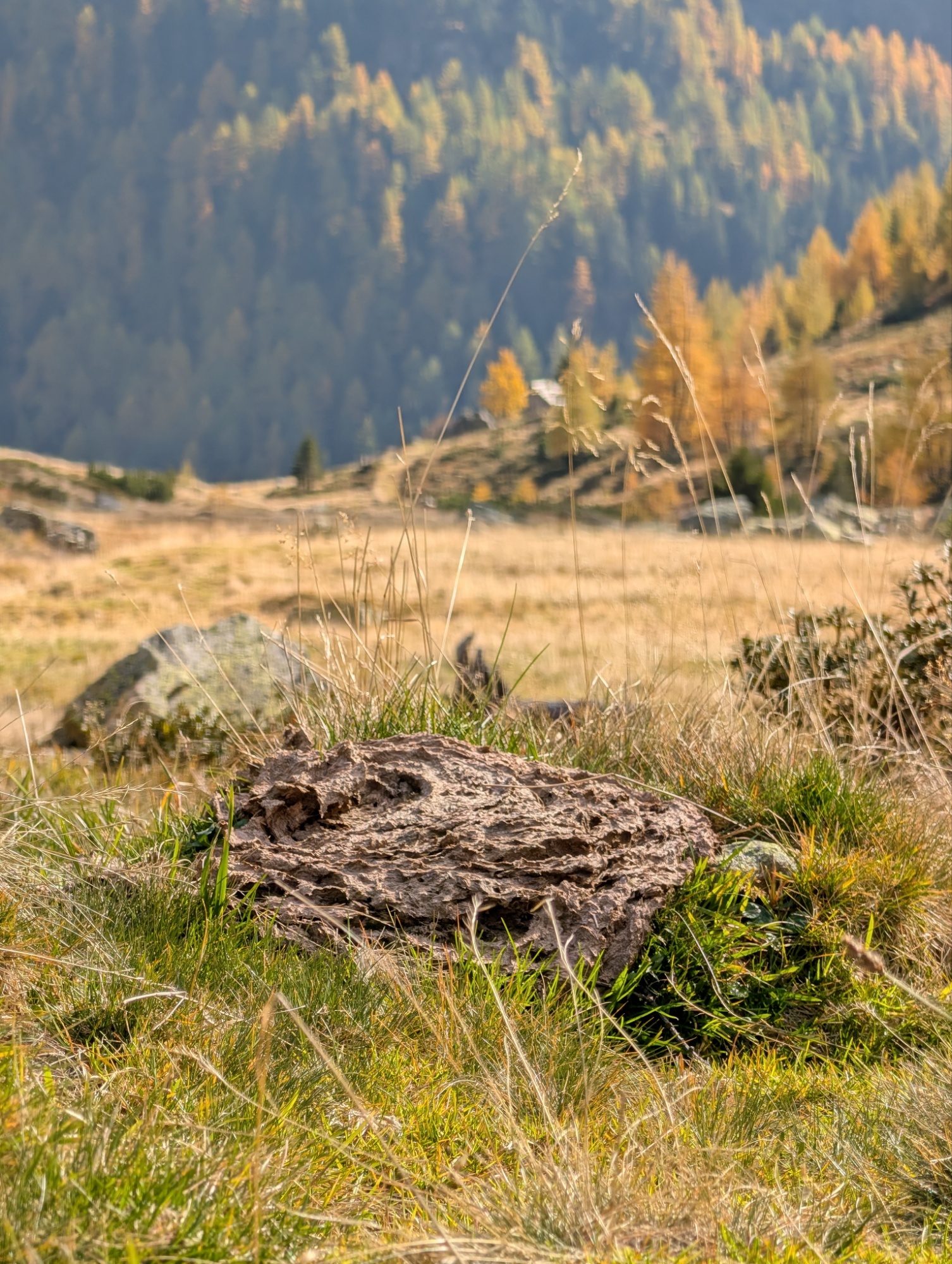 Unbenannter Beitrag 43