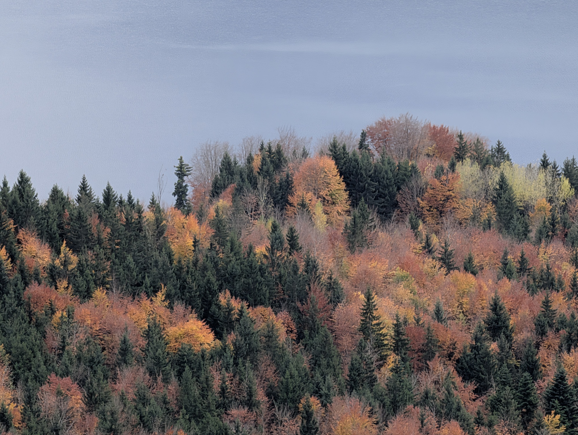 Unbenannter Beitrag 82