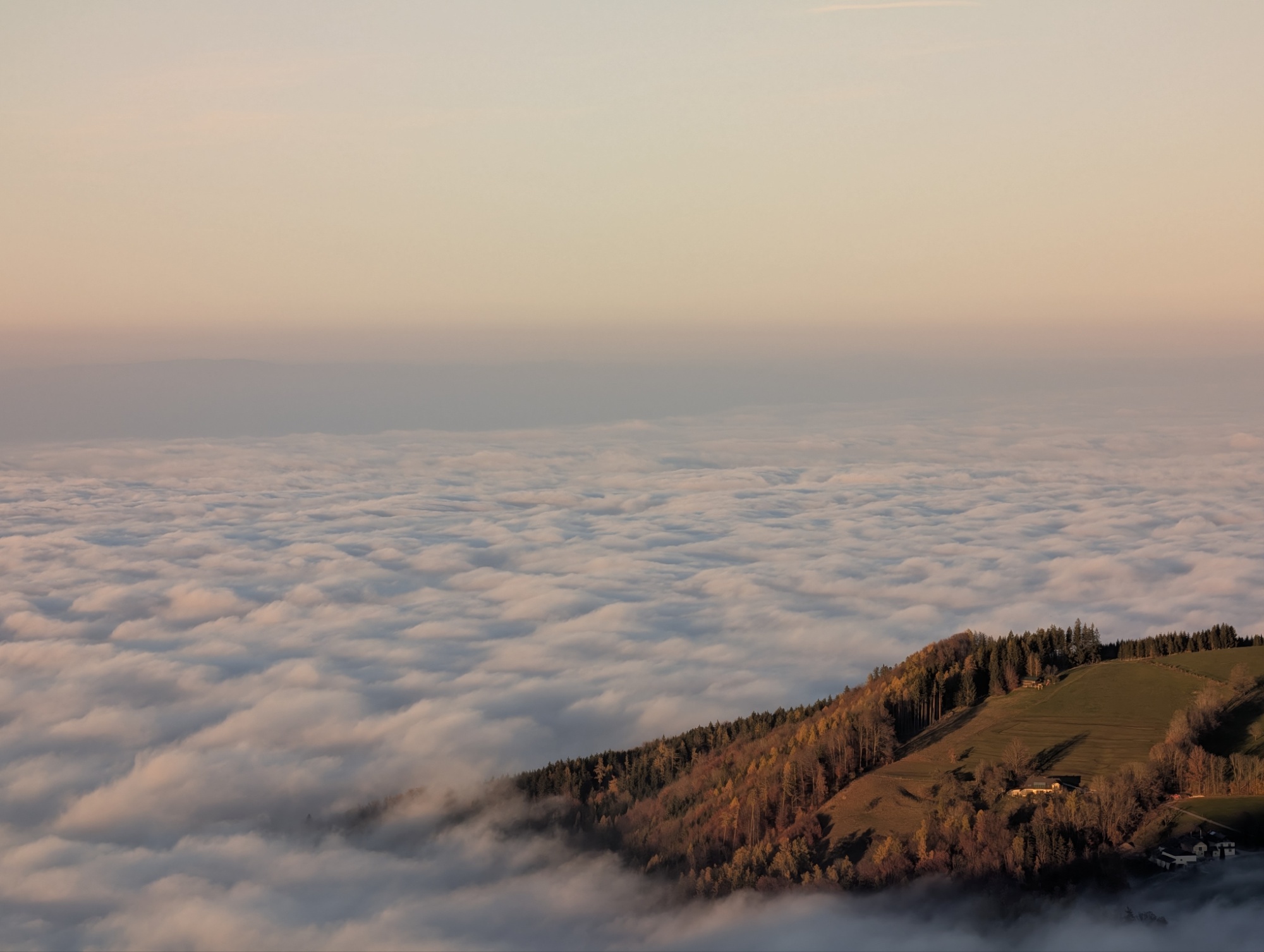 Unbenannter Beitrag 19