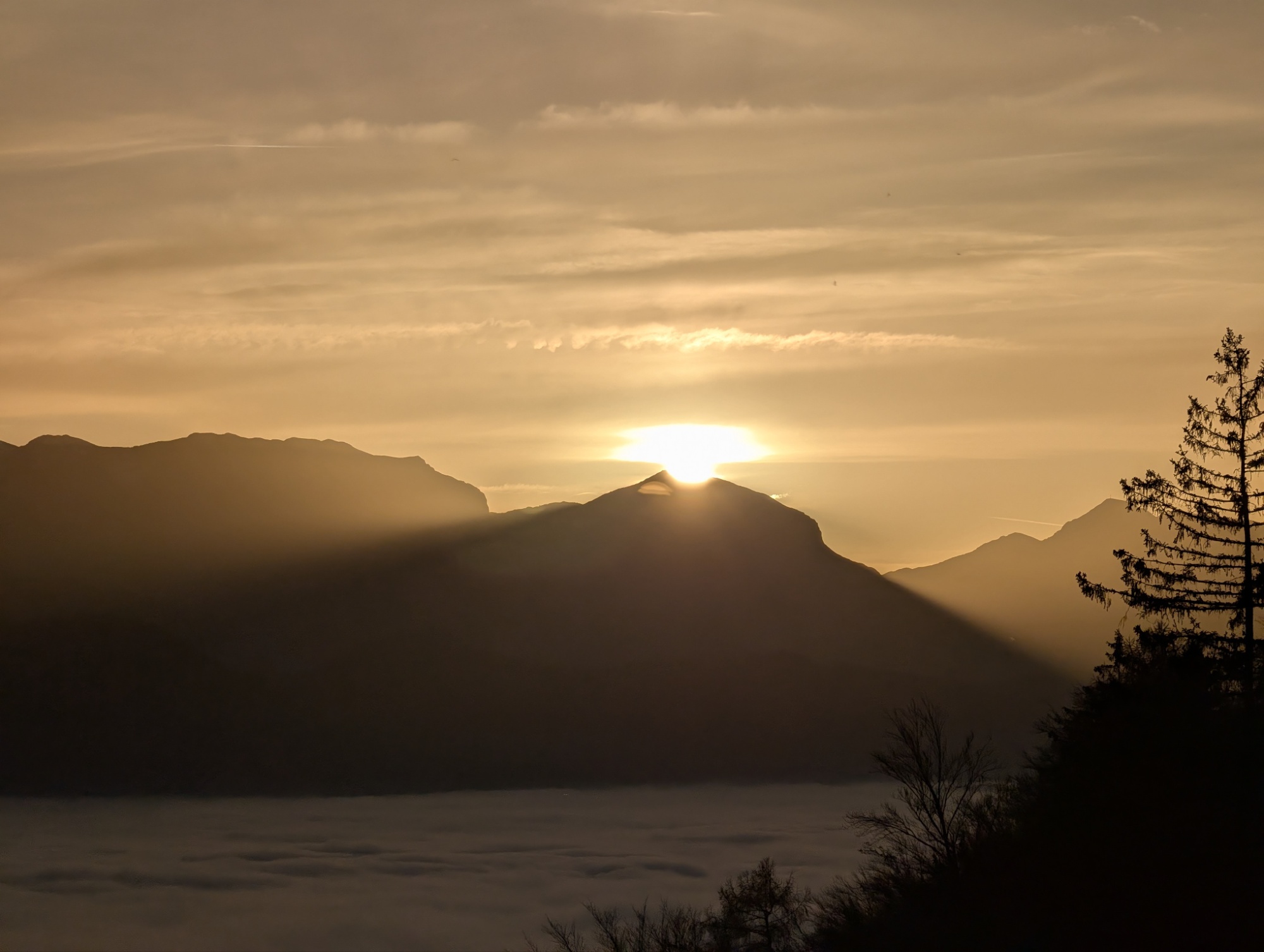 Unbenannter Beitrag 71