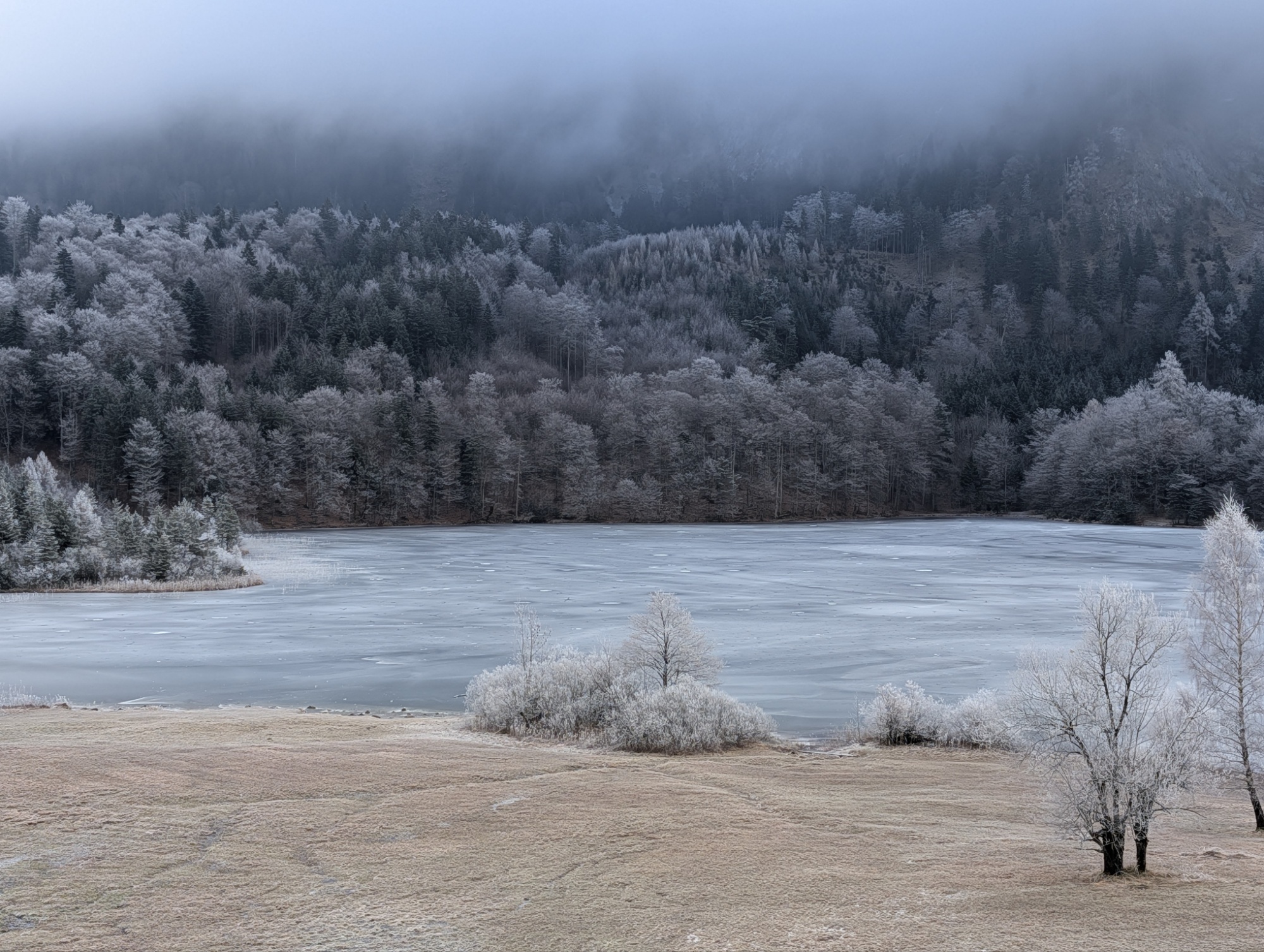 Unbenannter Beitrag 49