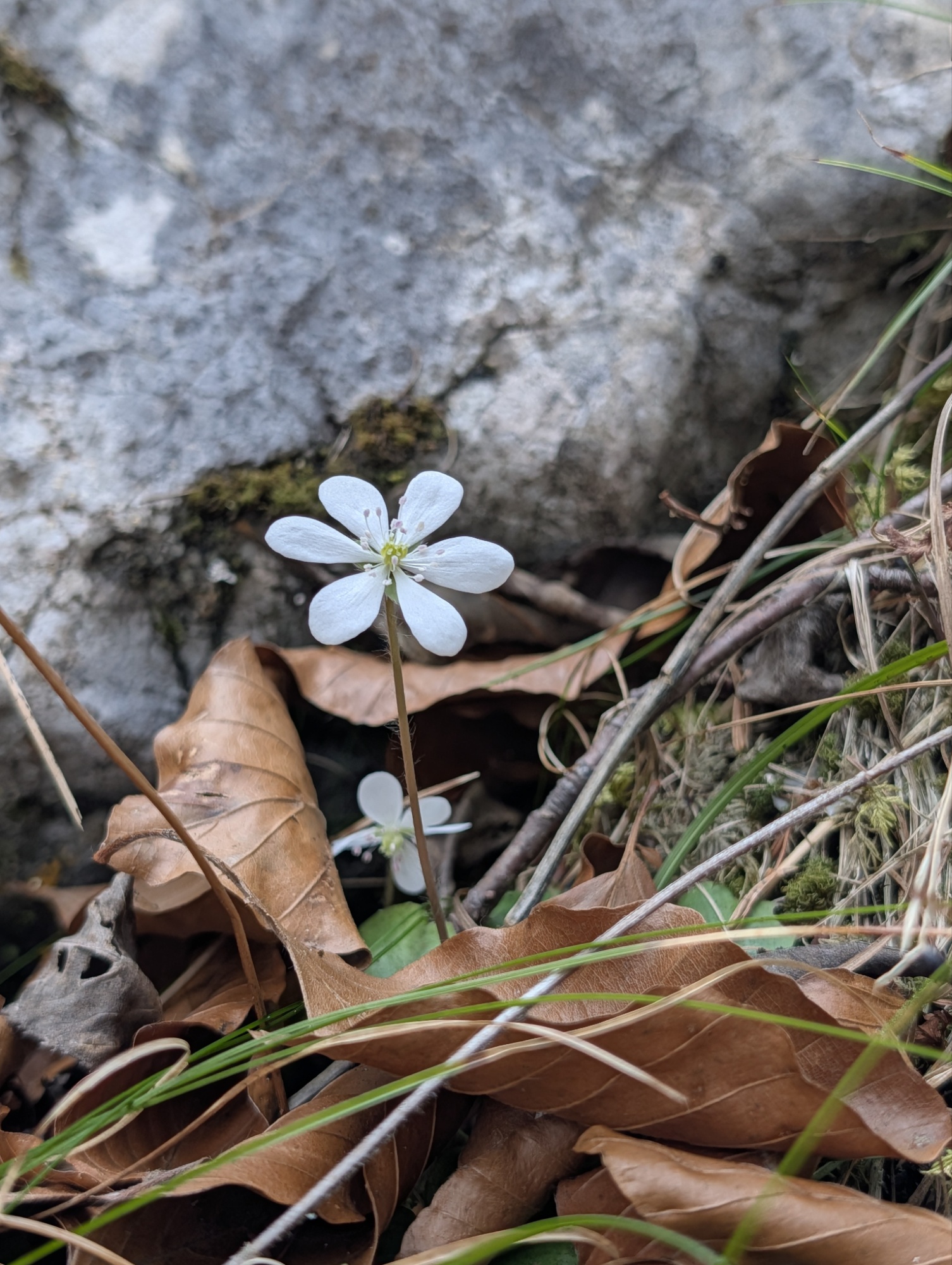 Unbenannter Beitrag 119